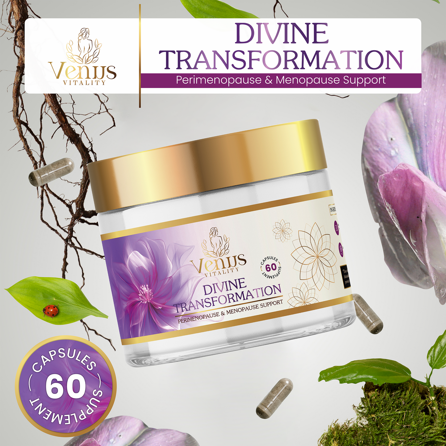 Divine Transformation